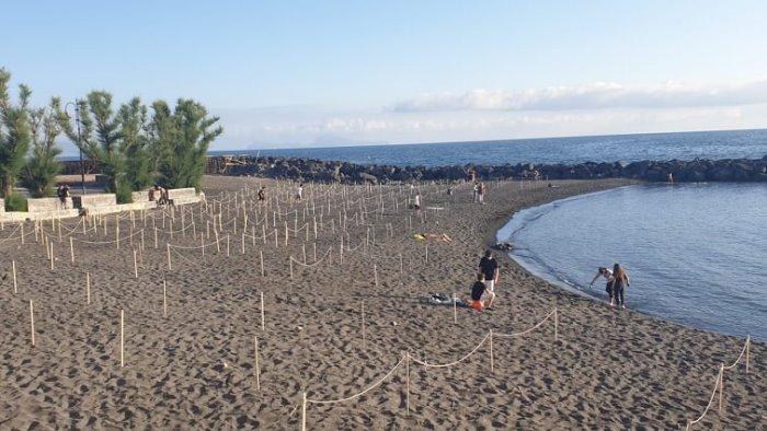 a portici una sola spiaggia pollaio disponibile l ira del movimento 5 stelle