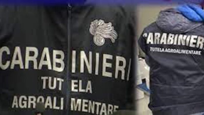 conserve vegetali senza tracciabilita maxi sequestro dei carabinieri