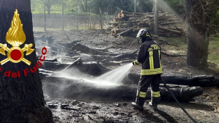 cumulo di legna in fiamme in un fondo in azione i caschi rossi