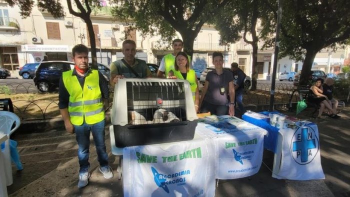 tutela degli animali il comune di eboli organizza il microchip day