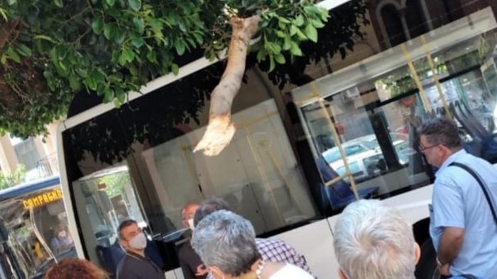 salerno grosso ramo precipita su un autobus alla fermata