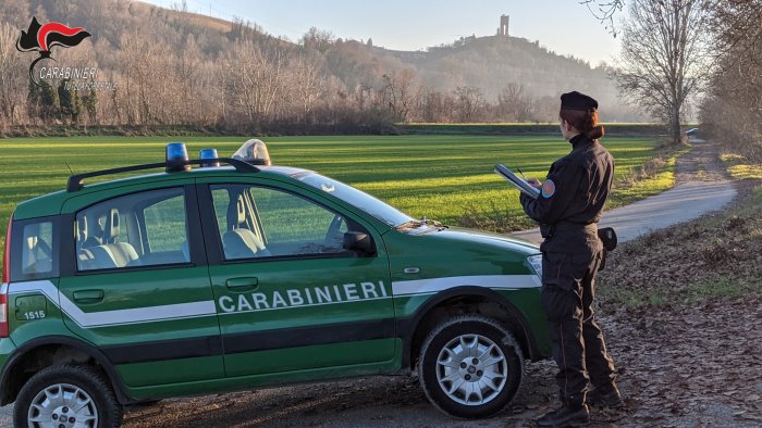 abusi edilizi nel cilento intervento dei carabinieri forestali a castellabate