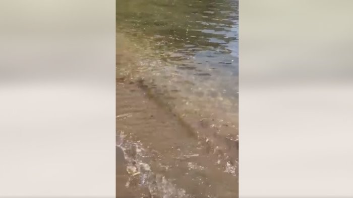 acqua marrone a posillipo baia di trentaremi ridotta a discarica la denuncia