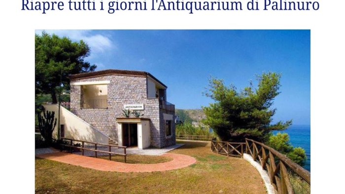 centola dal 1 luglio riapre tutti i giorni l antiquarium di palinuro