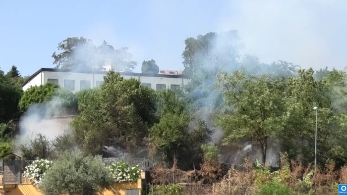 incendio di sterpaglie in via circumvallazione arrivano i vigili del fuoco