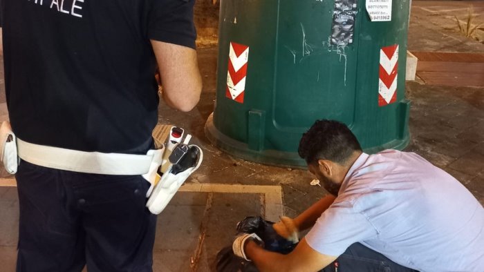 furbetti del sacchetto nuovo blitz a salerno multati gestori di locali