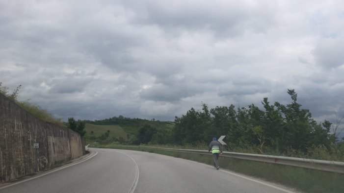 erbacce alte lungo la statale 90 allarme sicurezza per camminatori e ciclisti