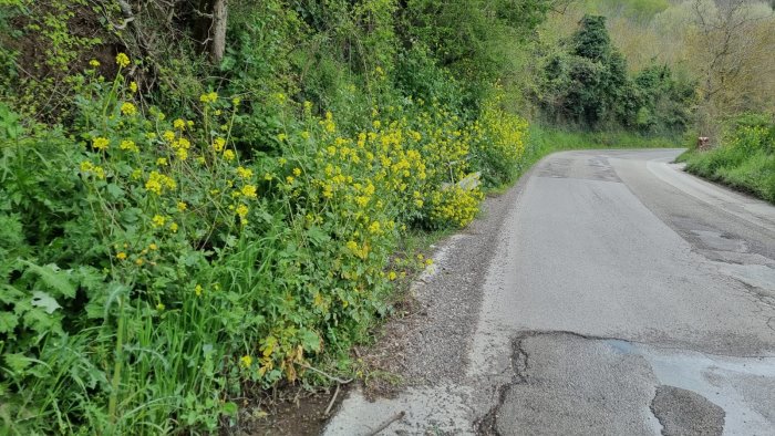 ariano cunette ostruite e tombini intasati strade a rischio allagamenti