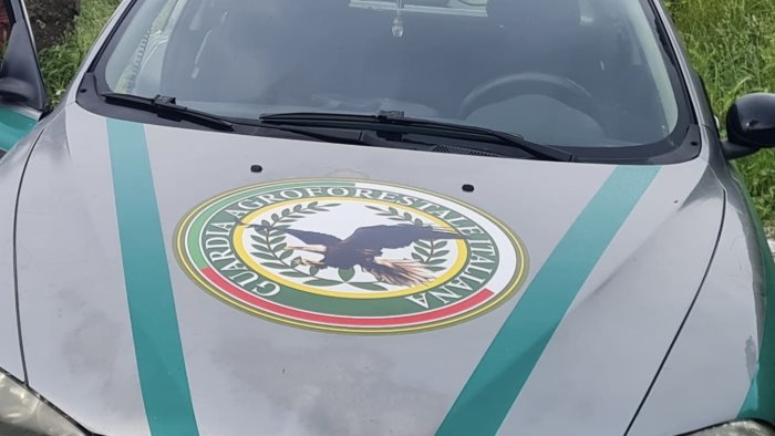 guardia agroforestale arriva il riconoscimento ufficiale per il terzo settore