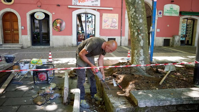 avellino via al piano di manutenzione delle aiuole di viale italia