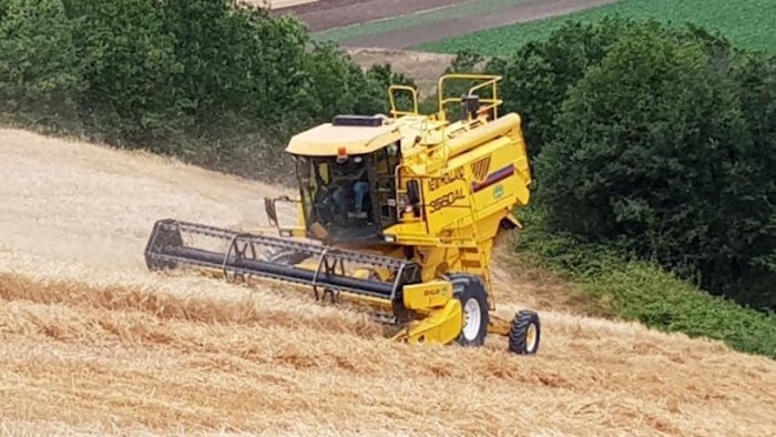 minicozzi cambiamenti climatici serve tavolo urgente con regione e governo