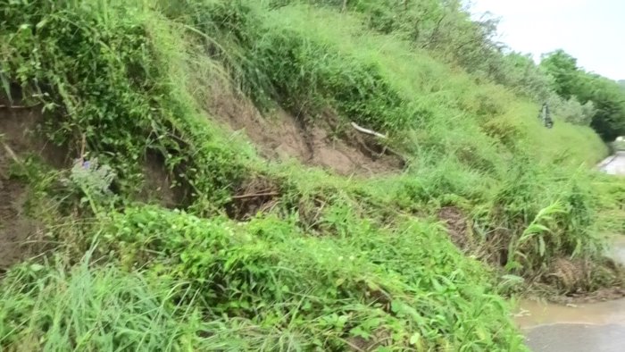 strade e folta vegetazione appello ai frontisti al rispetto delle regole