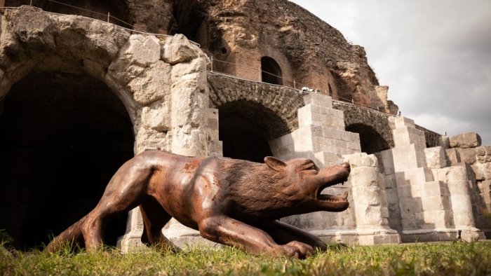 i lupi di lyu ruowang al teatro romano