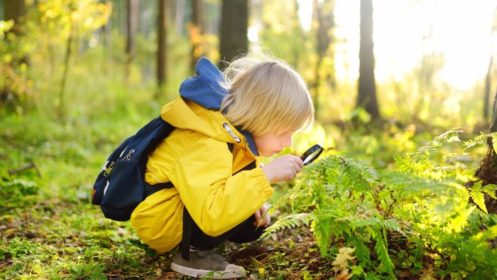 tutela ambiente premiata la scuola dell infanzia san vito di benevento