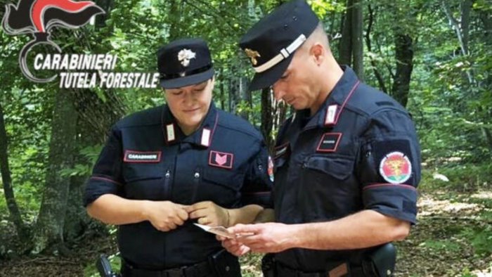 scarichi anomali nel fiume secchio indagini di carabinieri e arpac