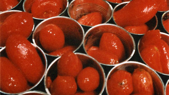campagna del pomodoro intesa sui prezzi si arriva fino a 160 euro a tonnellata