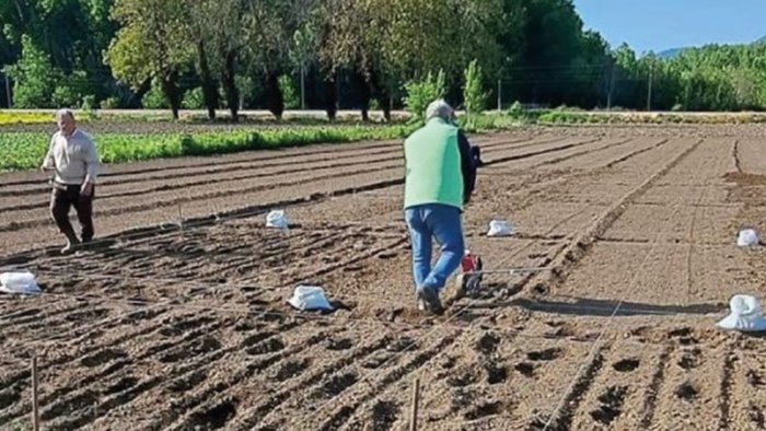 al crea di caserta l evento di presentazione del progetto canaseme