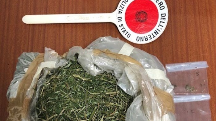 roccadaspide piante di marijuana in casa arrestato