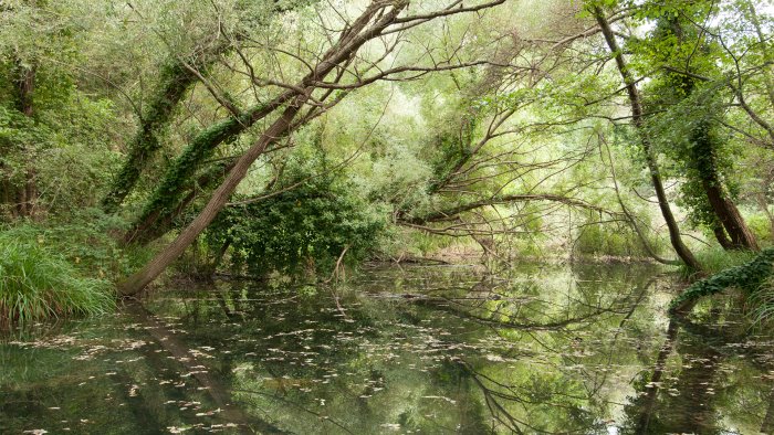 sele tanagro calore al via il contratto di fiume