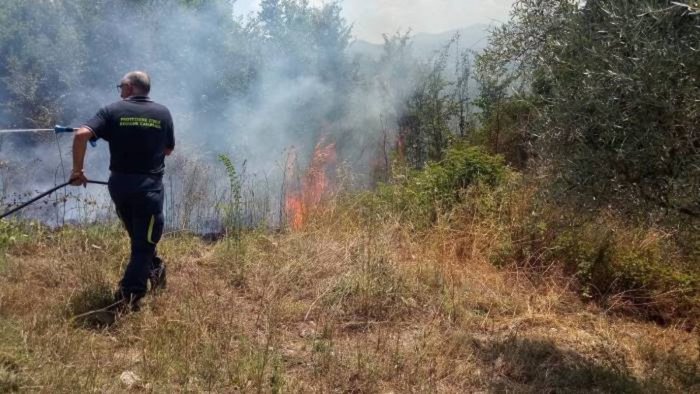 incendio a controne distrutti diversi ettari di vegetazione