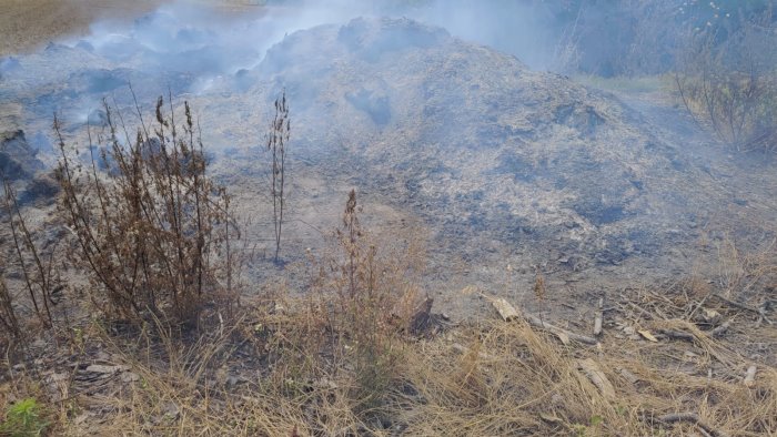 rogo di rifiuti in un terreno denunciato un uomo