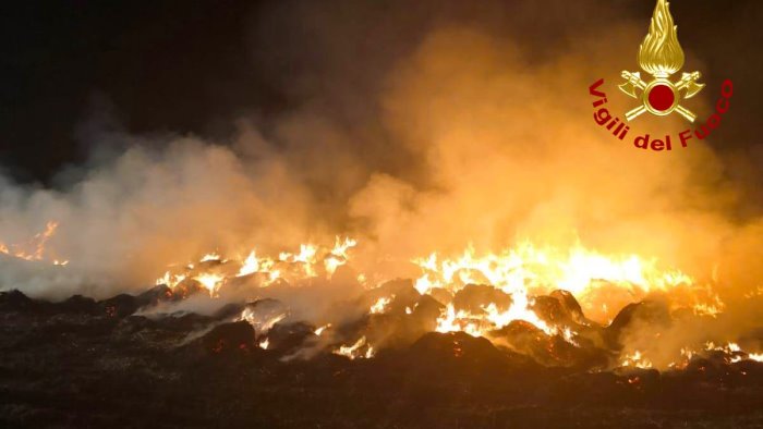 rotoballe di fieno in fiamme al lavoro i vigili del fuoco