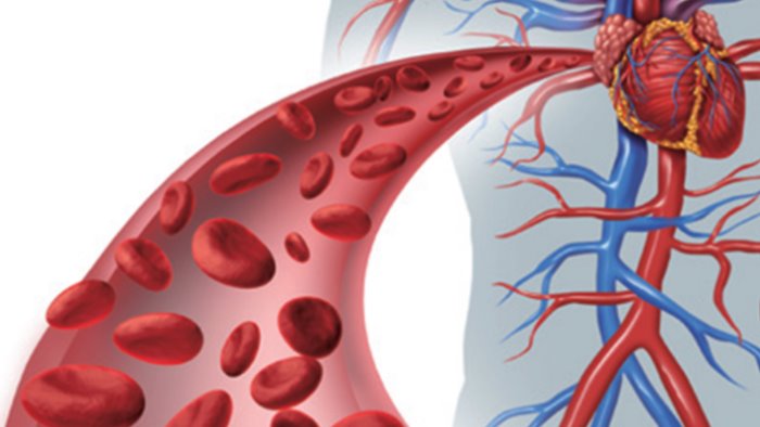 dislipidemie cure e diagnosi esperti a confronto ad atripalda