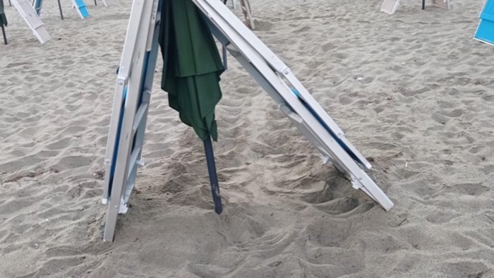 cilento ancora un nido di tartarughe marine in spiaggia