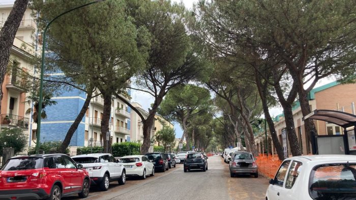 sequestrati 352 pini tra viale atlantici via pacevecchia e via rosselli