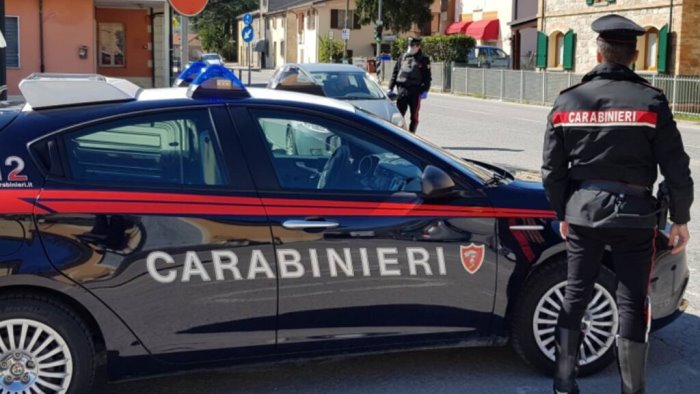 albanella scoperta un altra piantagione di marijuana sequestrati 9 chili