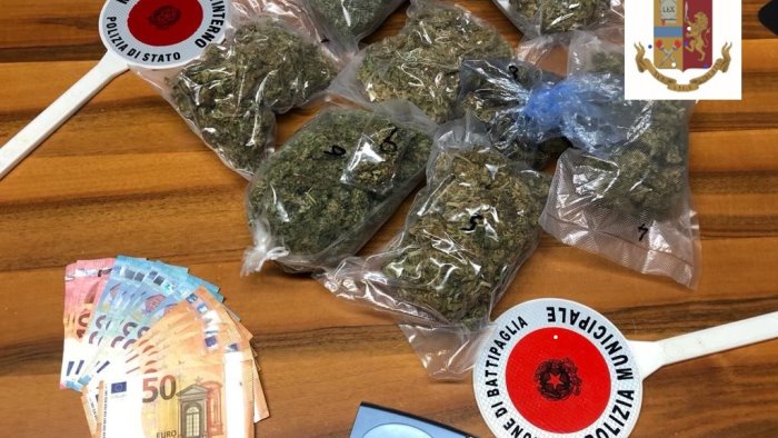 capaccio coltivava marijuana in una serra sul terrazzo arrestato 36enne