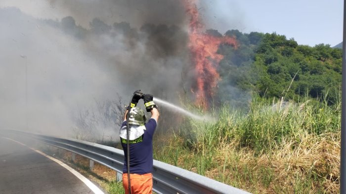 rogo a pellezzano volontari e vigili del fuoco evitano il peggio