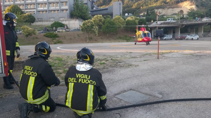 utilizza l alcol per allontanare le formiche e si ustiona trasferito a napoli