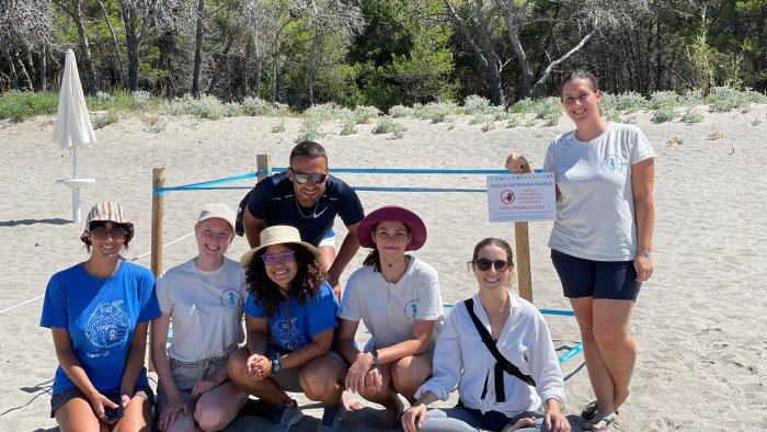 continuano le sorprese a camerota ritrovato il quinto nido di tartaruga marina