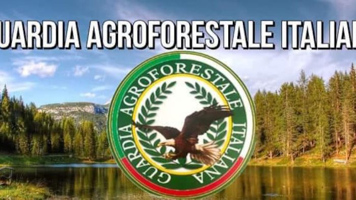 salvaguardia ambientale ad auletta nasce la guardia agroforestale italiana