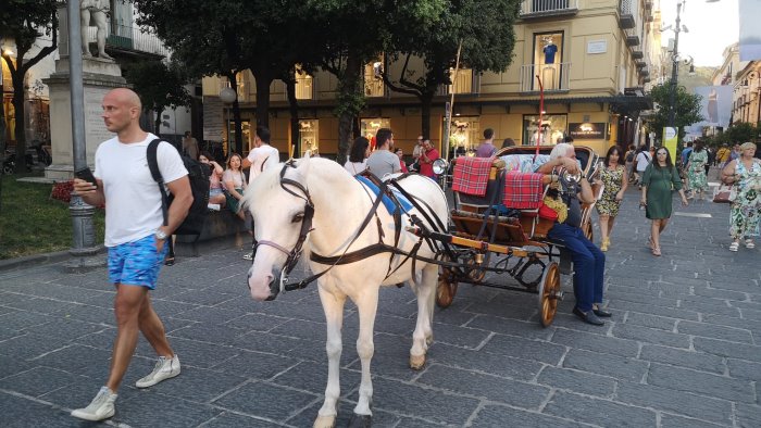 sorrento il sindaco coppola ordina lo stop alle carrozzelle nelle ore piu calde