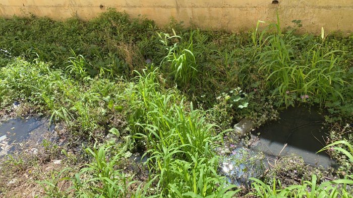 esalazioni maleodoranti da fogna e noi costretti a tenere le finestre chiuse