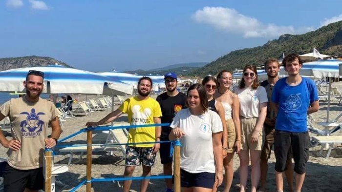 cilento terra di tartarughe ancora un nido a camerota