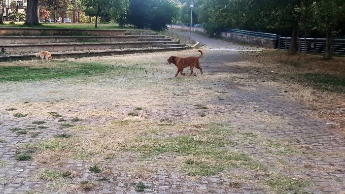 degrado al parco pinocchio avella insicuro e decadente l appello al sindaco