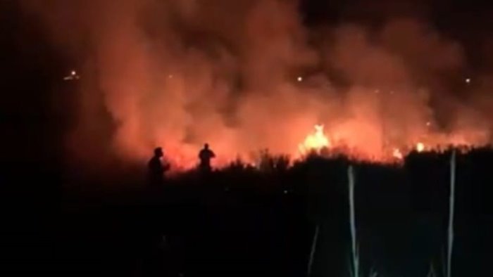 brucia ancora il salernitano tre incendi nella notte ad agropoli