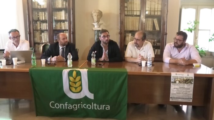 confagricoltura avellino nuovi bandi psr focus nelle aree interne ad ariano