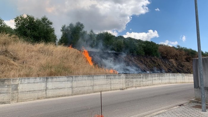 battipaglia incendio nei pressi del cimitero salvato un cagnolino