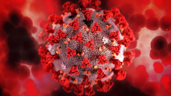 covid 245 positivi su 607 test vacanze il virus ferma gli avellinesi