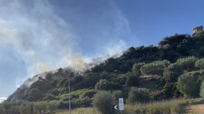 incendio ad ascea fiamme a ridosso dell area archeologica