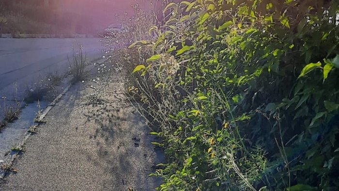 ariano troppi rifiuti ed erbacce lungo le strade dal centro alle periferie