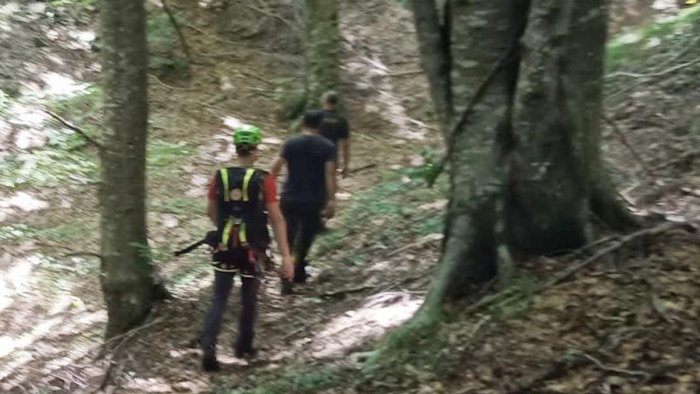 va in cerca di funghi ma perde l orientamento uomo salvato dal soccorso alpino