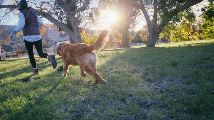 il 60 dei napoletani dedica almeno tre ore al giorno alle passeggiate col cane