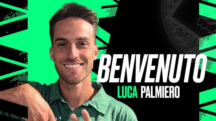 avellino ufficiale l arrivo di palmiero i dettagli su acquisto e contratto