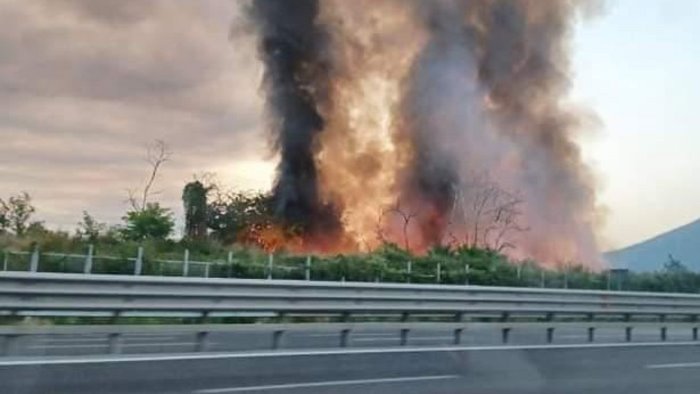 rogo ex campo barra comitati di zona cittadini in fuga