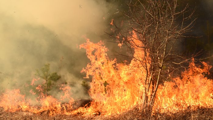 vigili del fuoco combattono contro l incendio vicino dubrovnik in croazia
